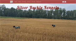 Desktop Screenshot of montanagundogs.com