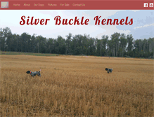 Tablet Screenshot of montanagundogs.com